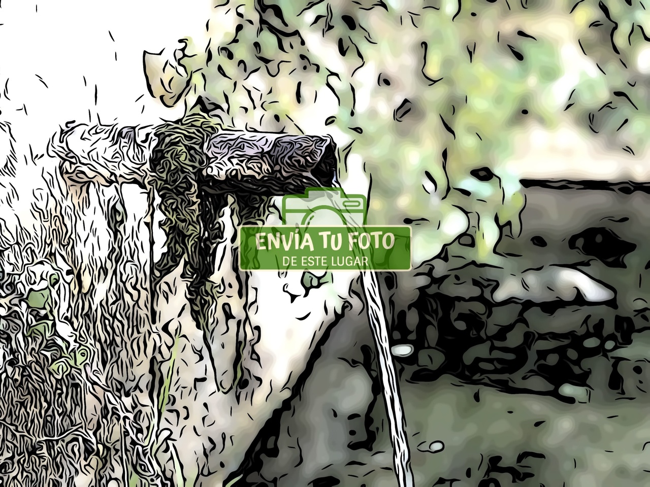 Card image cap